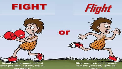 fight flight ze fawn cartoon