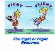 fight-or-flight