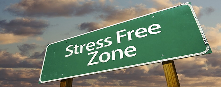 stress free zone