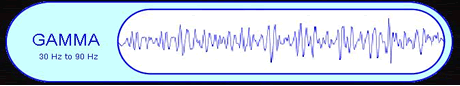 gamma brainwave pattern